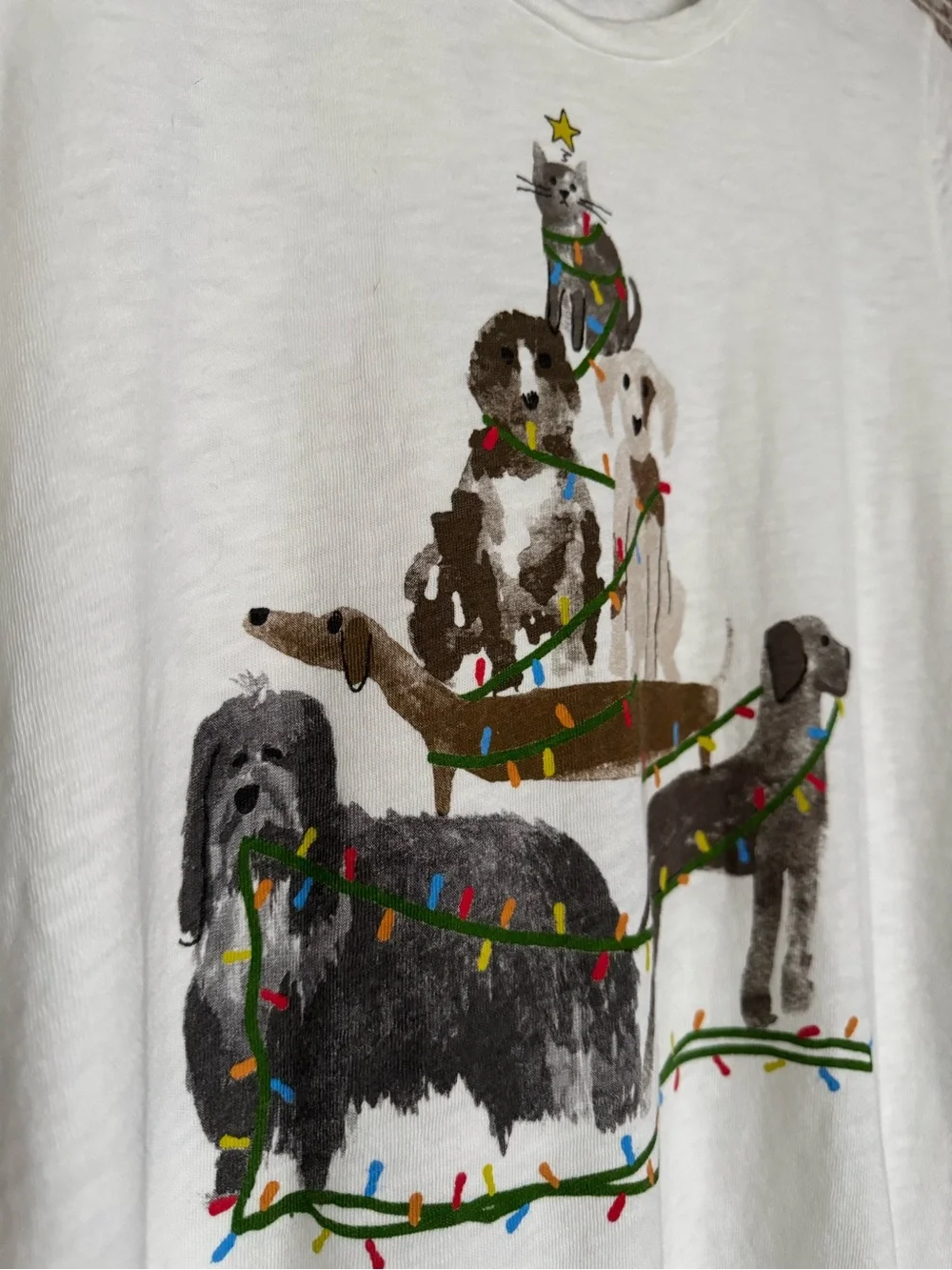 J. Crew Mercantile Collector Tee with Pet Holiday Graphic